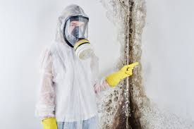 Best Mold Prevention Services  in La Porte, IN